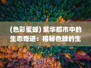 (色彩蜜蜂) 繁华都市中的生态奇迹：揭秘色蜂的生存状态与环境适应能力